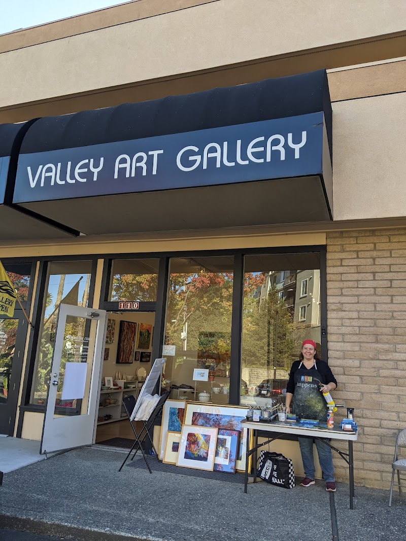 Valley Art Gallery photo 2