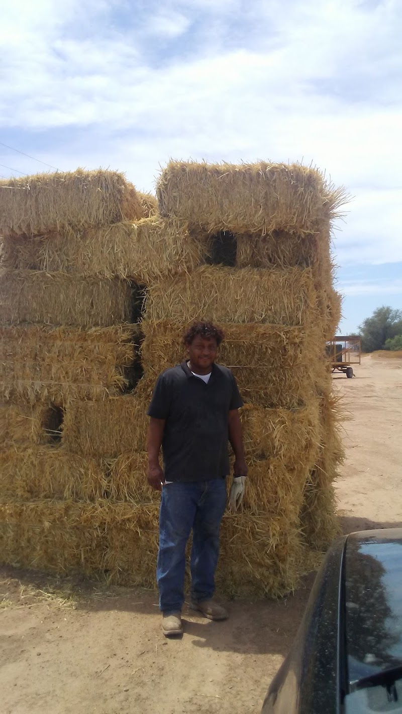 BKW Farms Inc photo 3