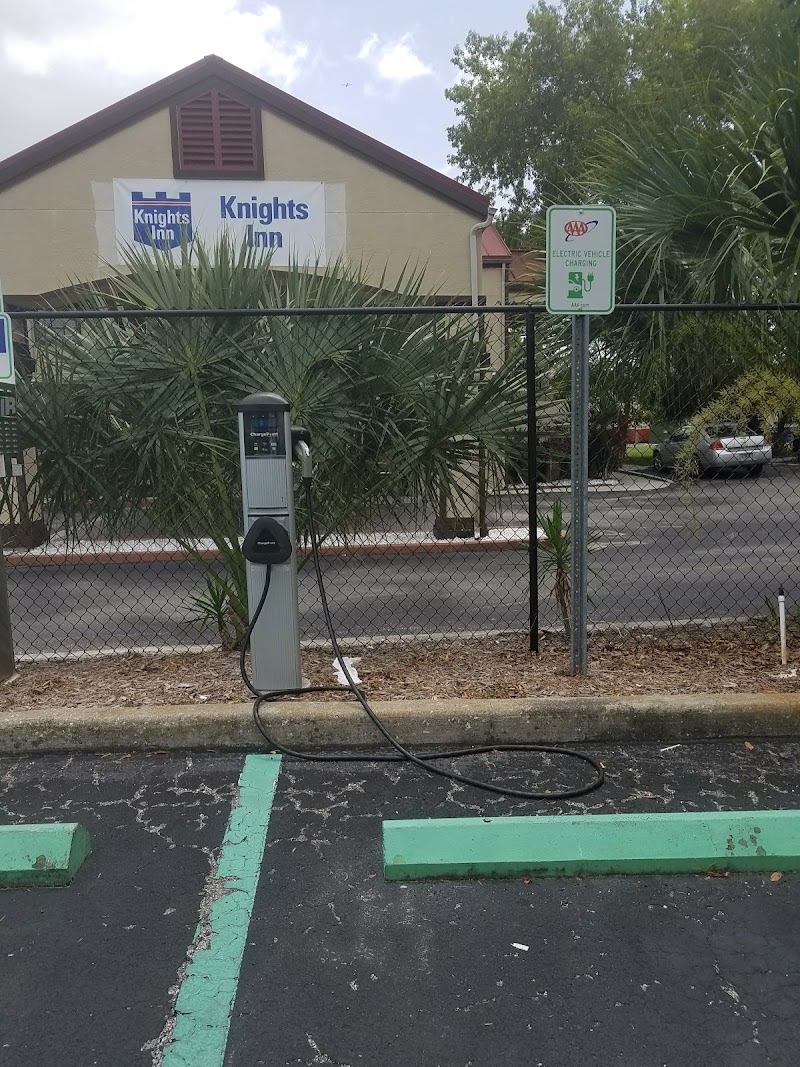 AAA Palm Harbor photo 3