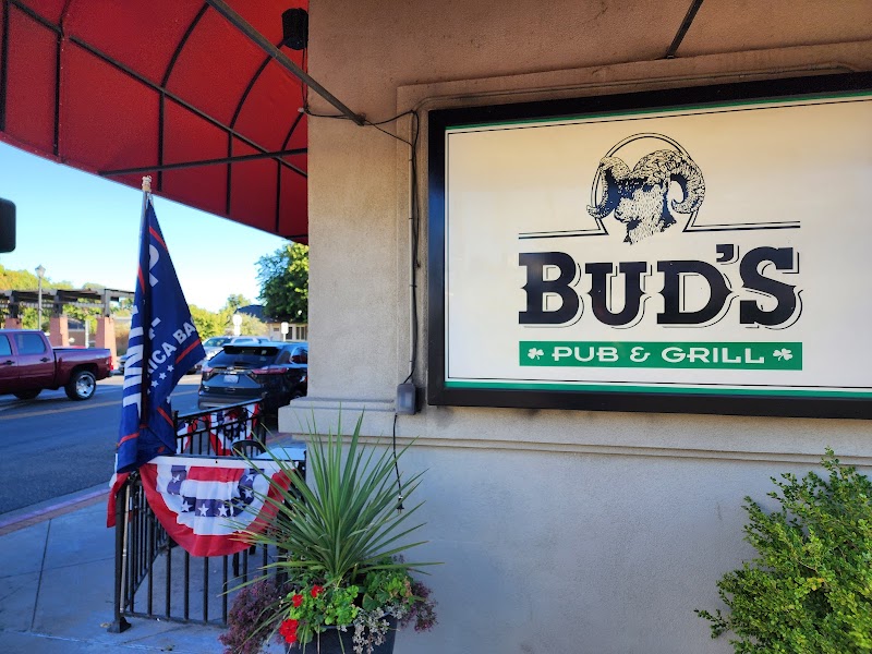 Bud's Pub & Grill photo 5