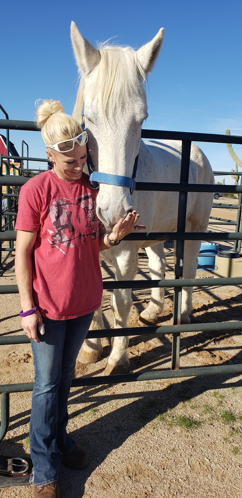 Agape Acres Therapeutic Riding Center photo 4