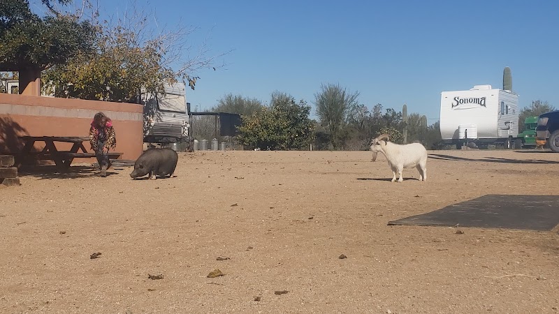 Agape Acres Therapeutic Riding Center photo 5