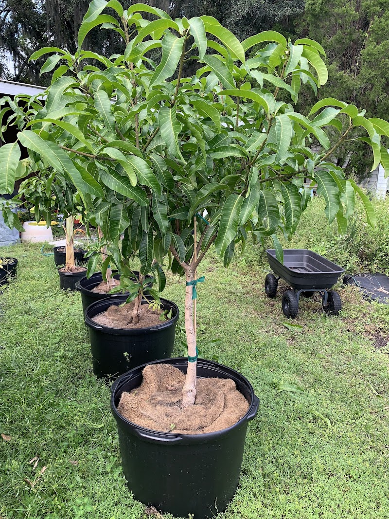 Photo of Triumphant Gardens, LLC