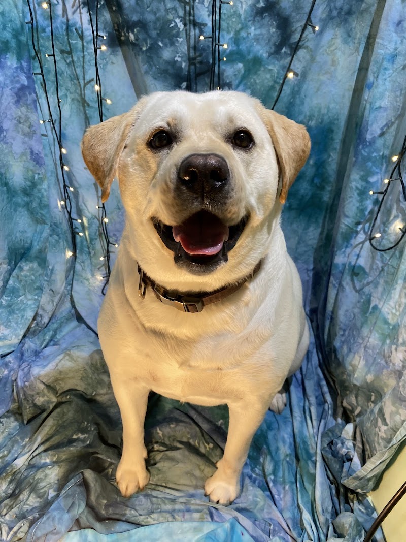 Pooch’s Plus Pet Lodge LLC photo 3