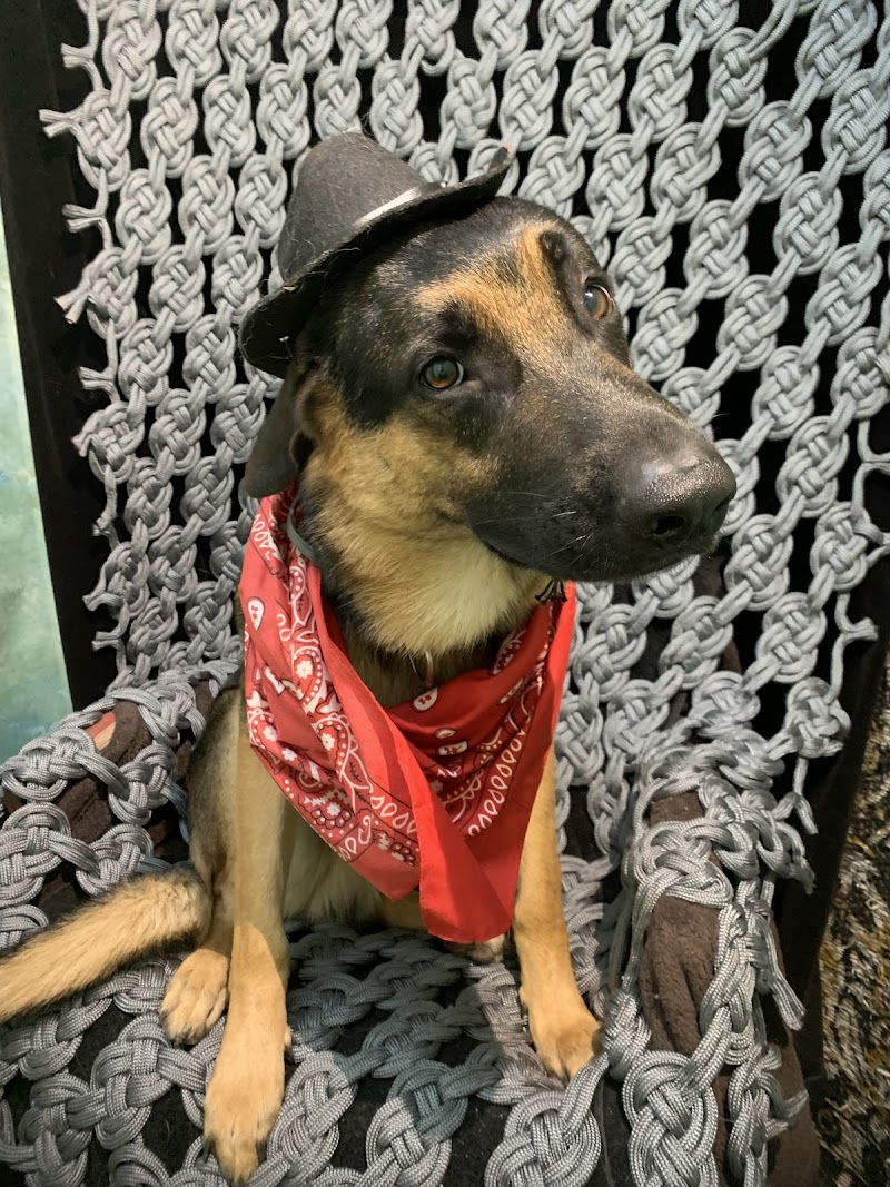 Pooch’s Plus Pet Lodge LLC photo 4