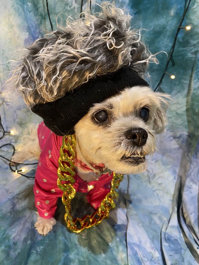 Pooch’s Plus Pet Lodge LLC photo 2