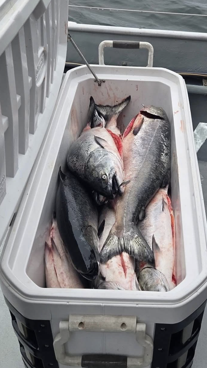 Ranger Sportfishing photo 3