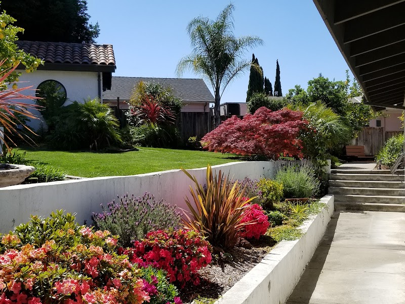 West Coast Villa photo 5