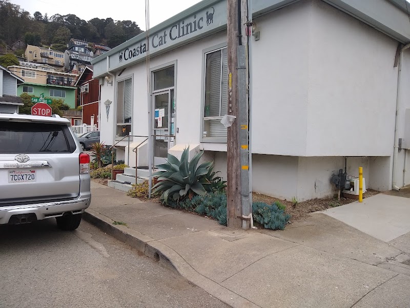 Coastal Cat Clinic photo 2