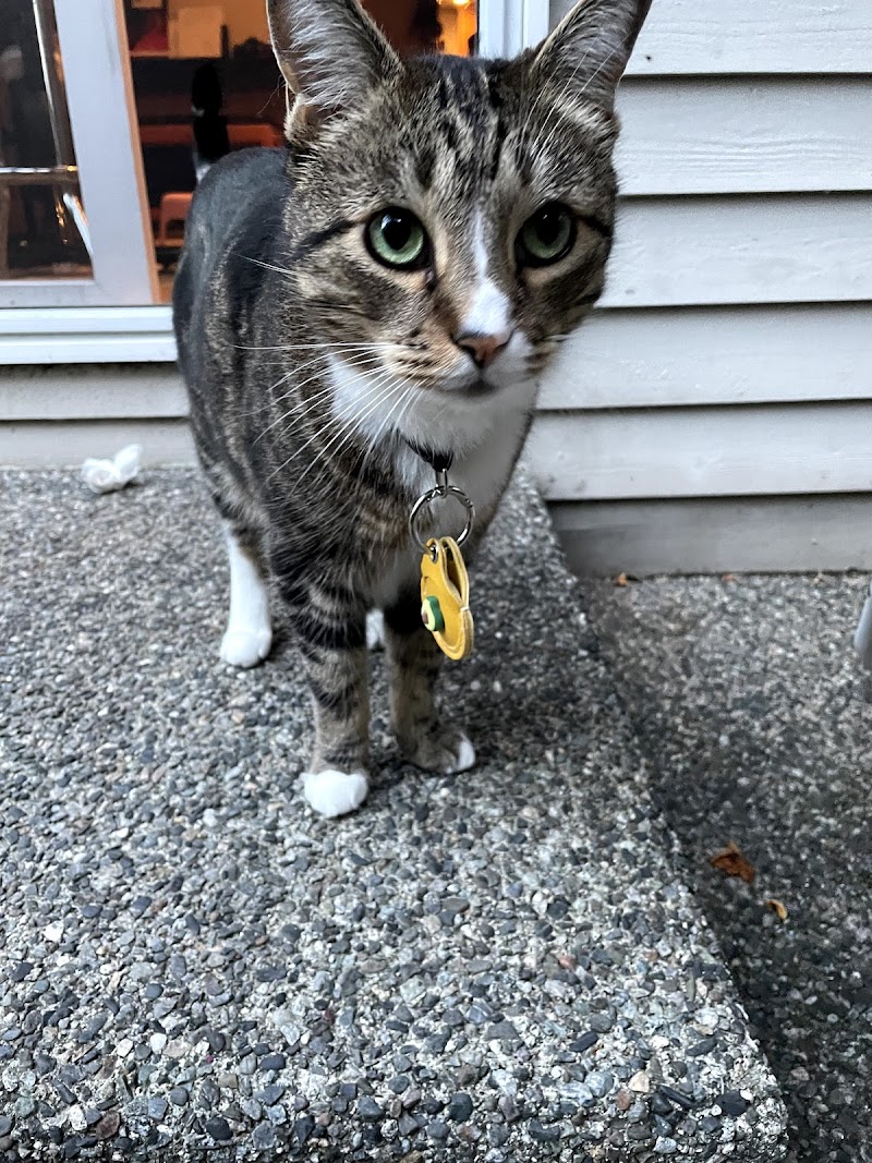 Photo of Coastal Cat Clinic