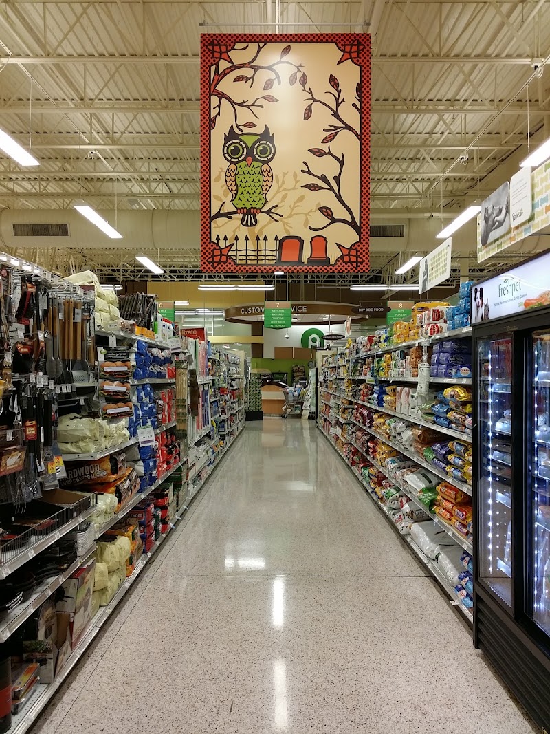 Publix Super Market at Hays Road Town Center photo 2