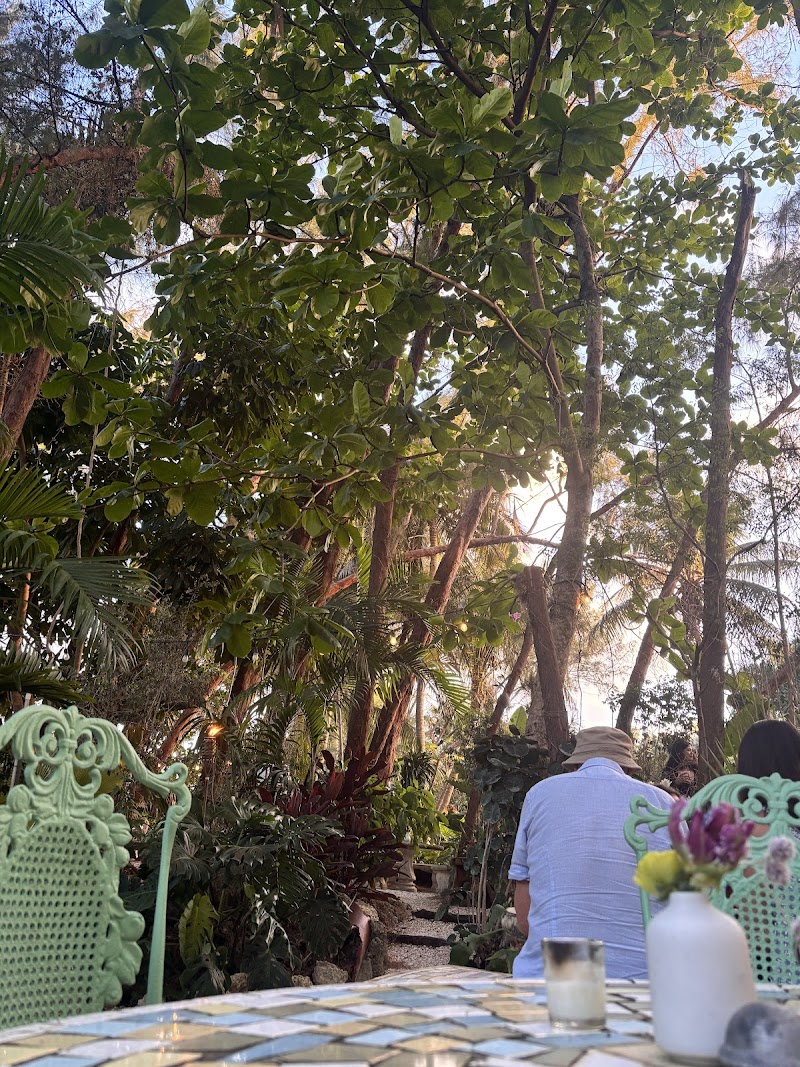 Miami Tropical Botanic Garden photo 2