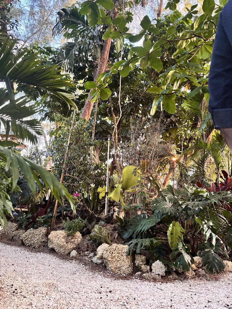 Miami Tropical Botanic Garden photo 4