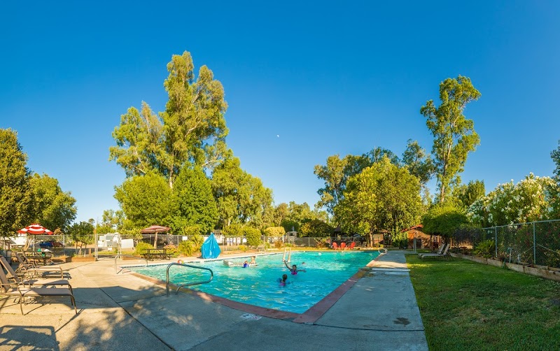 Vineyard RV Park photo 3