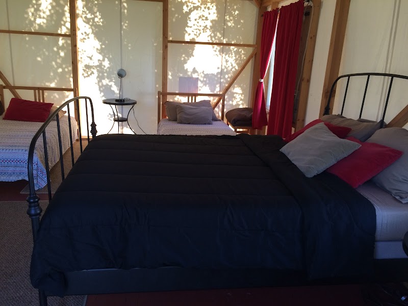 Vineyard RV Park photo 2