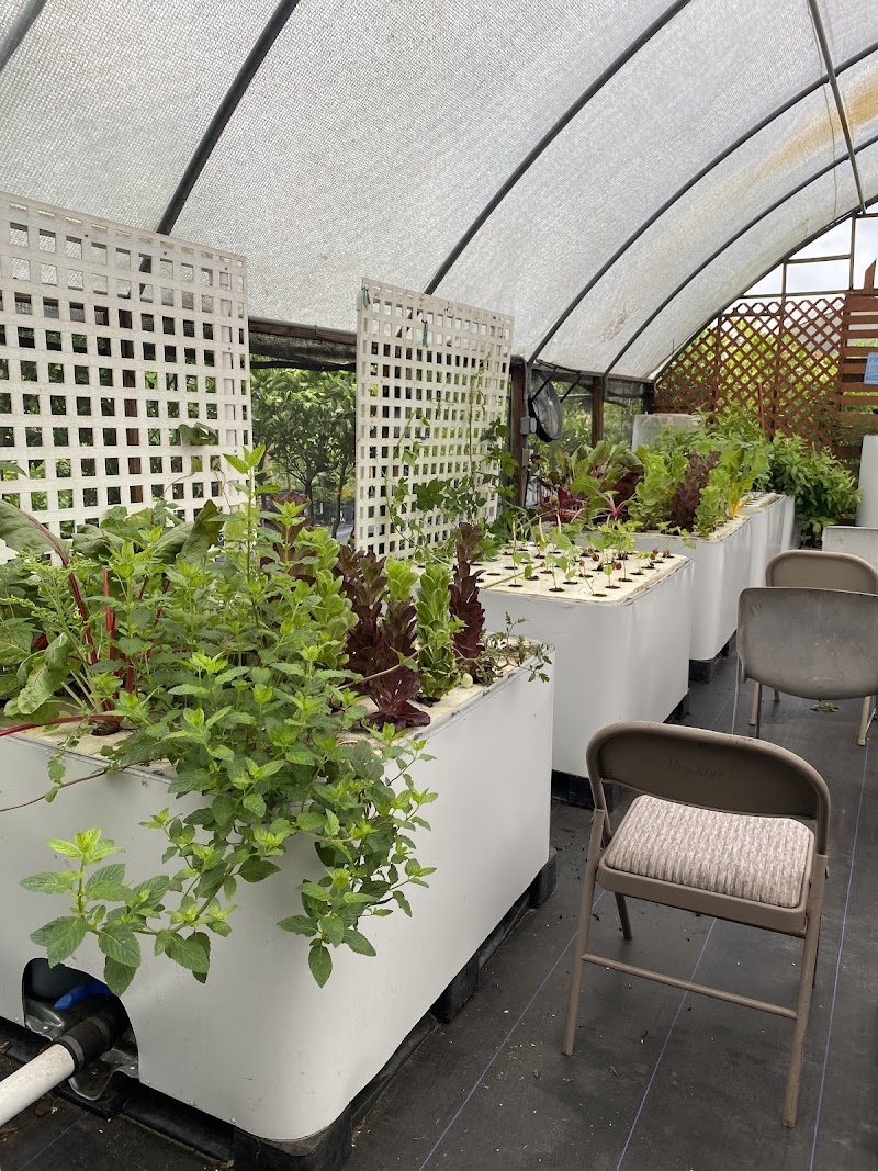 A Land of Delight Natural Farm & Nursery photo 5