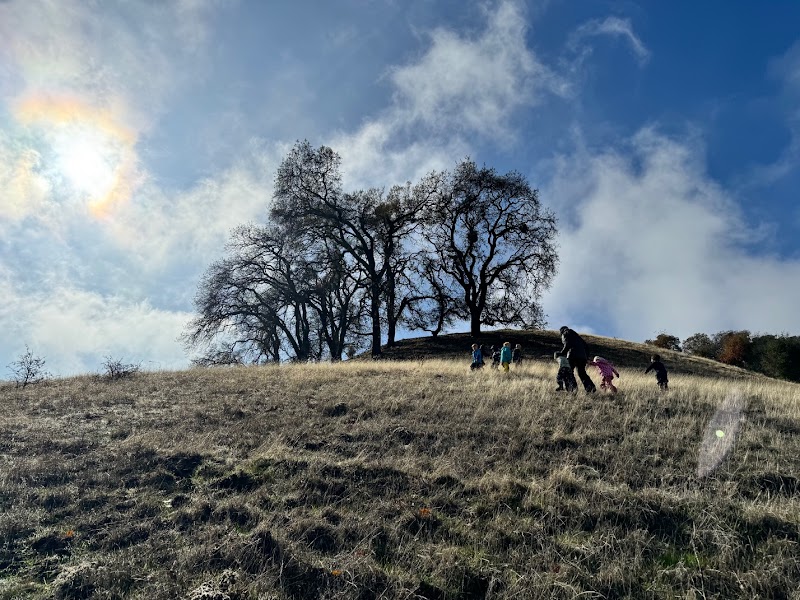 Oak Heart Forest Program photo 3