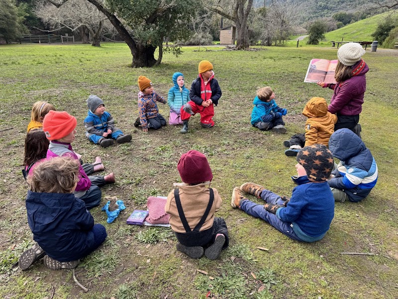 Photo of Oak Heart Forest Program