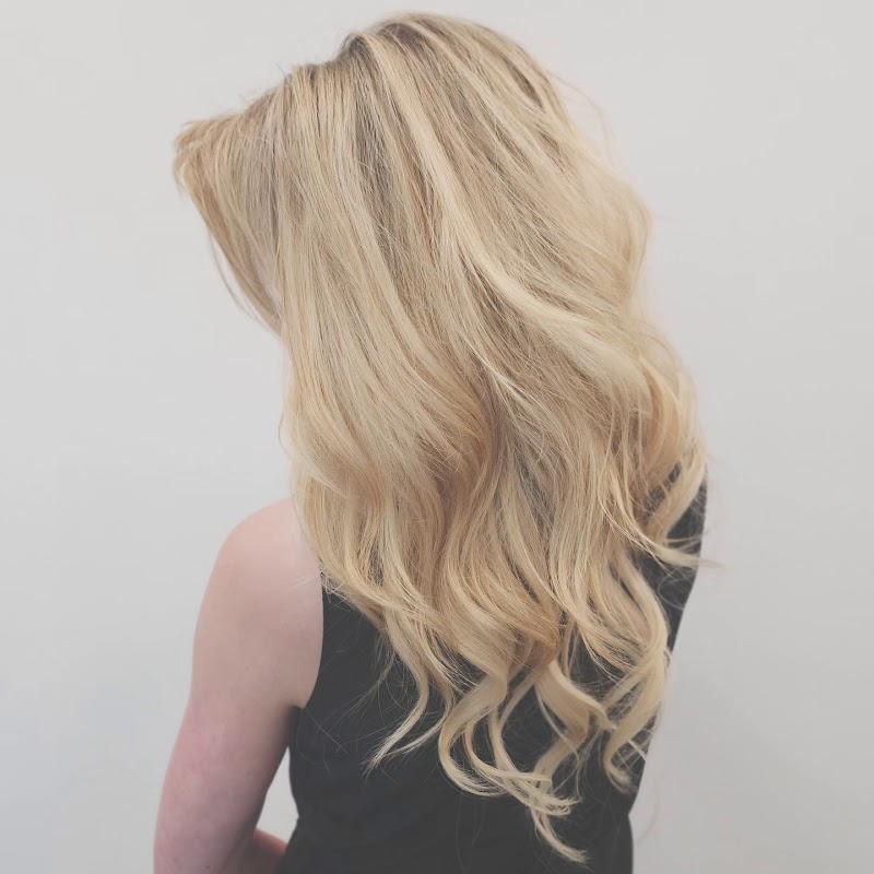 c suite salon photo 2