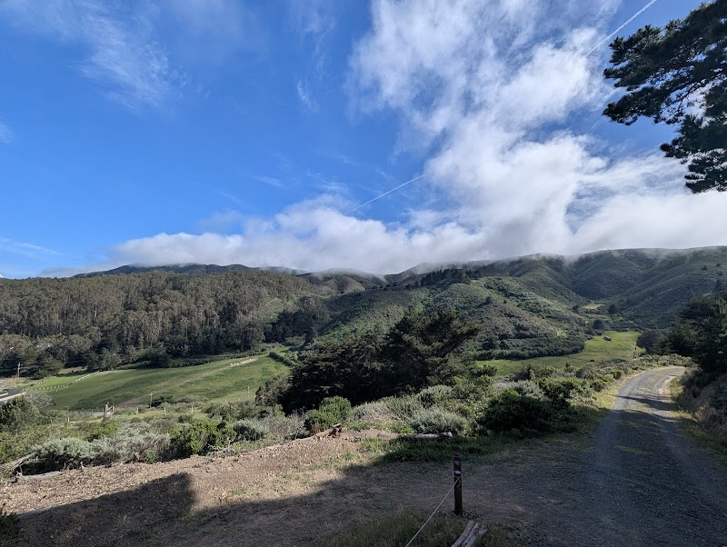Pedro Point Headlands photo 4