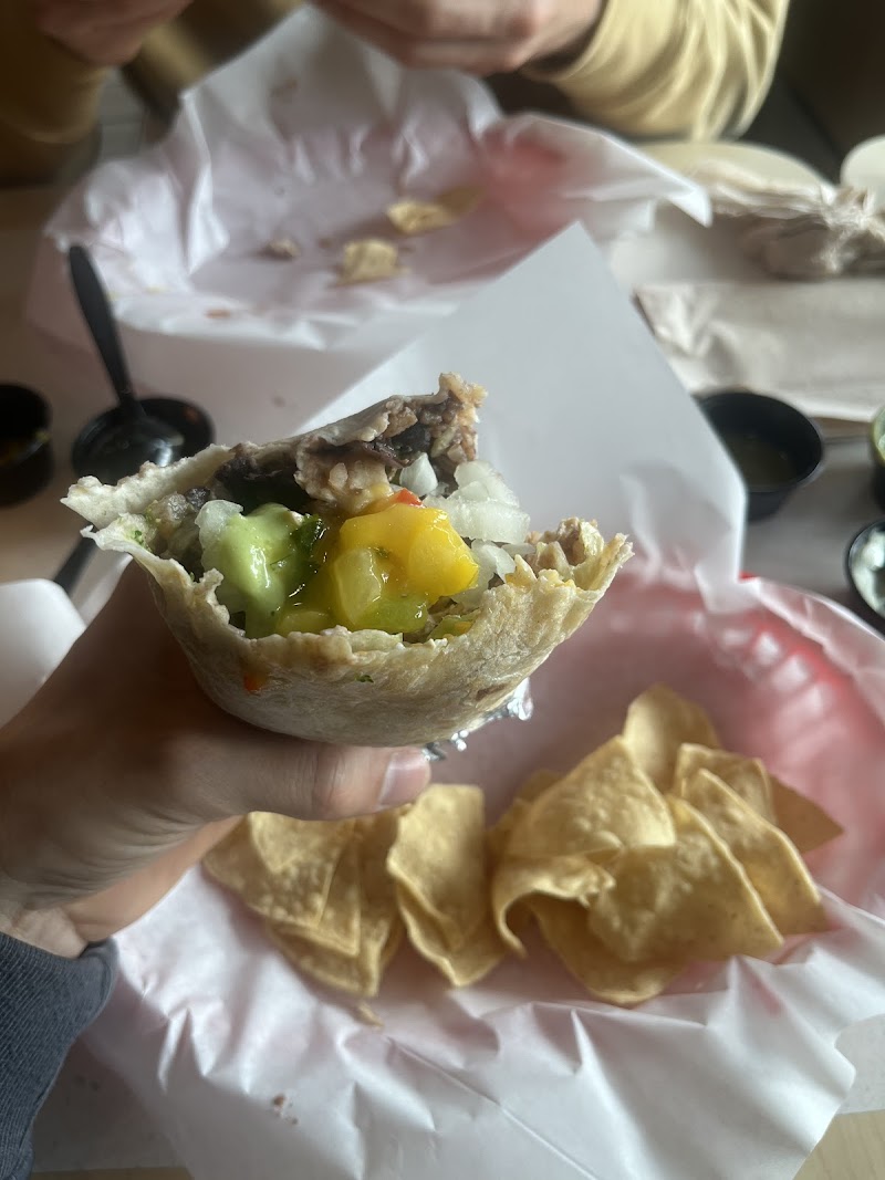 La Salsa photo 3