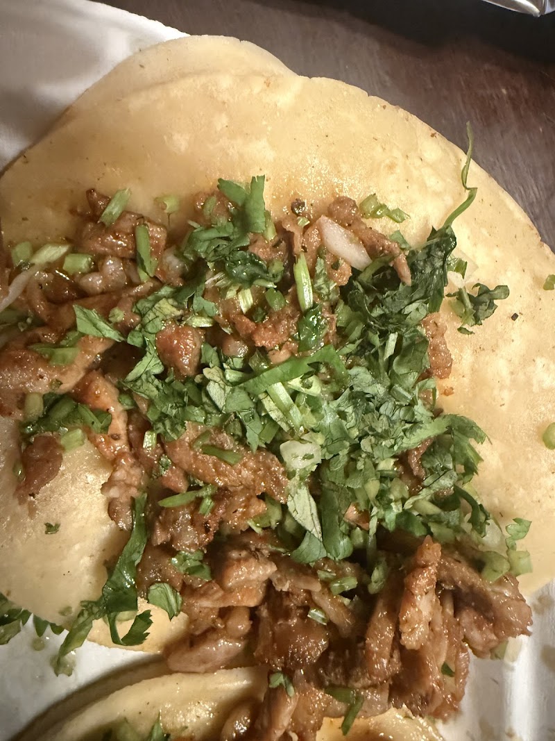 Taqueria El Gran Taco photo 2