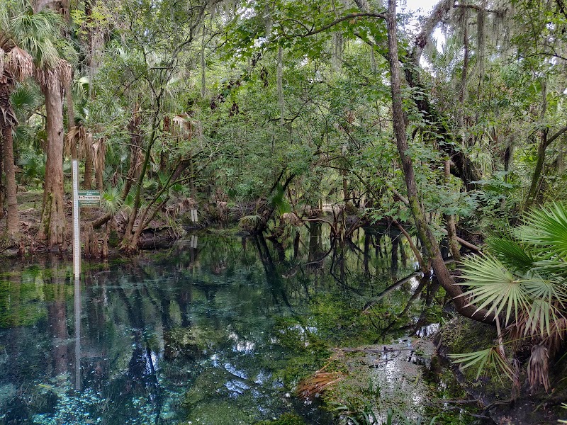 Lithia Springs Park photo 3