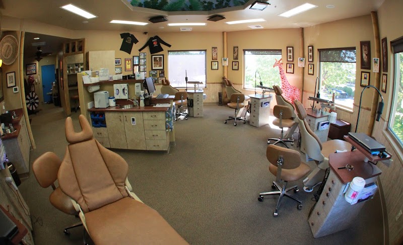 Photo of Bernstein Orthodontics - Windsor