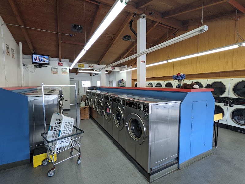 Friendly Wash & Dry photo 3
