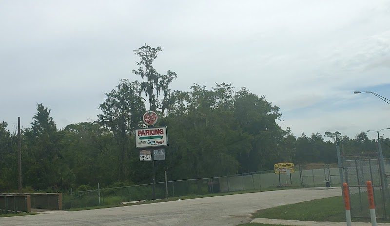 BLESSED Strawberry Festival Parking Lot photo 2