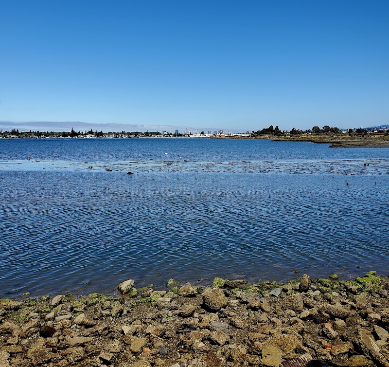 Photo of Arrowhead Marsh Pier