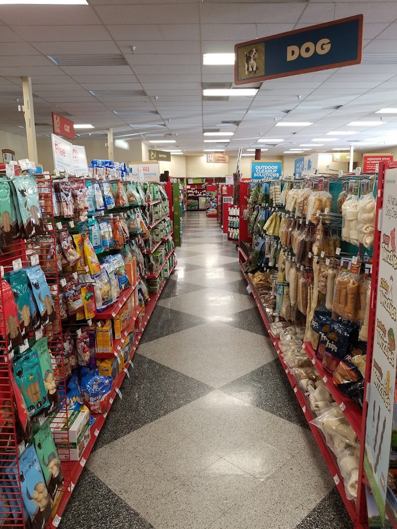 Petco photo 2