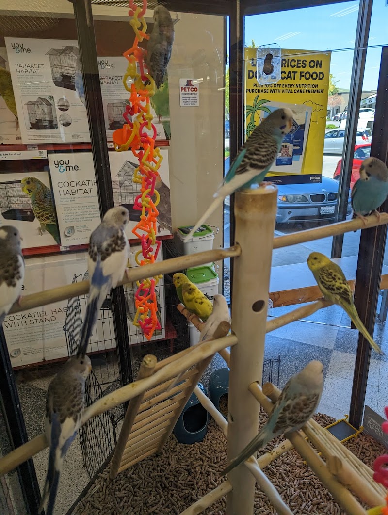 Petco photo 4