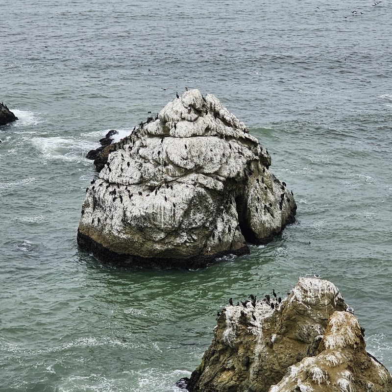 Snail Rock photo 2