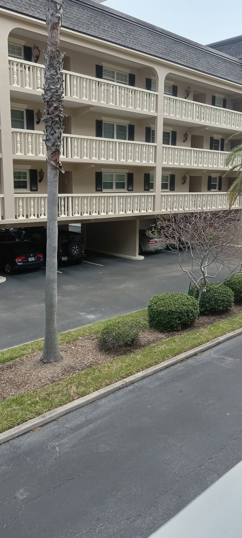 Port Belleair photo 5