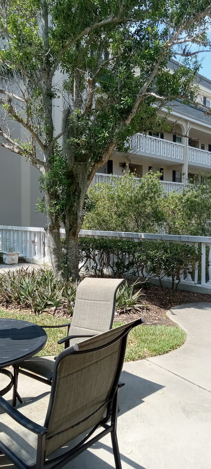 Port Belleair photo 3
