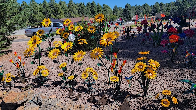 In Bloom Nursery photo 4