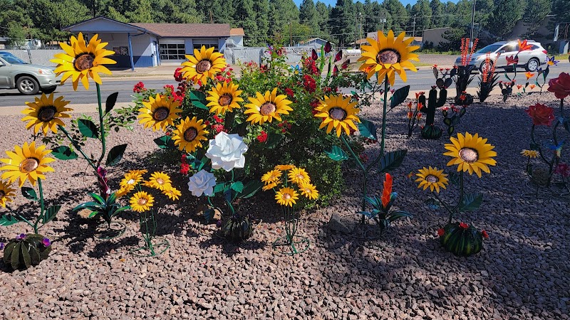 In Bloom Nursery photo 5