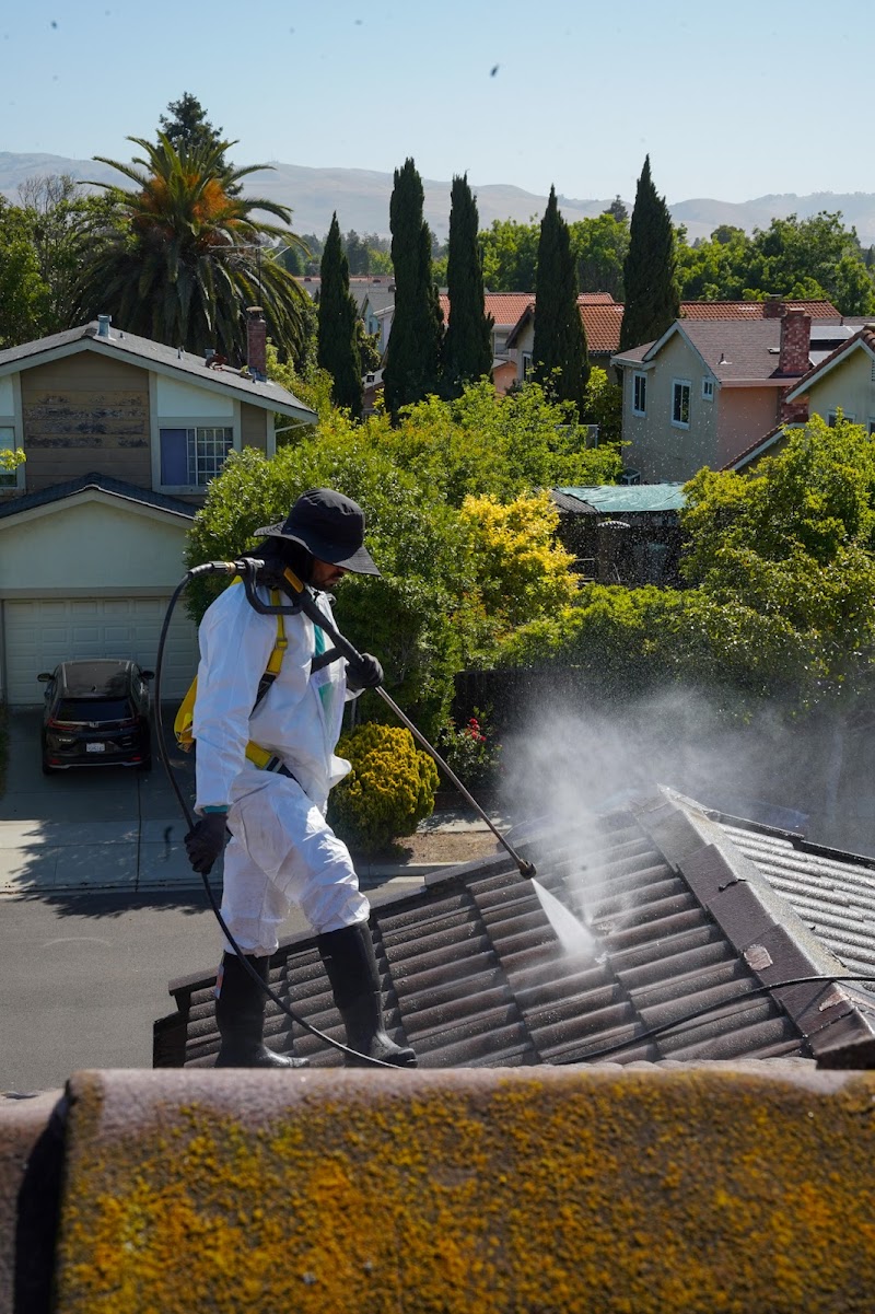 Eagle Legacy Roof Masters photo 4