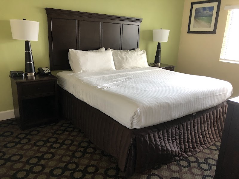 New Hotel Collection | Harbourside Resort photo 2