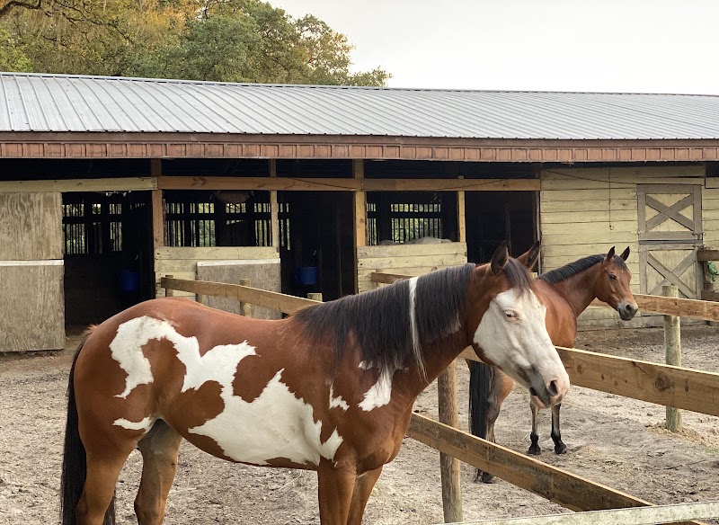 Black Grove Stables LLC photo 4