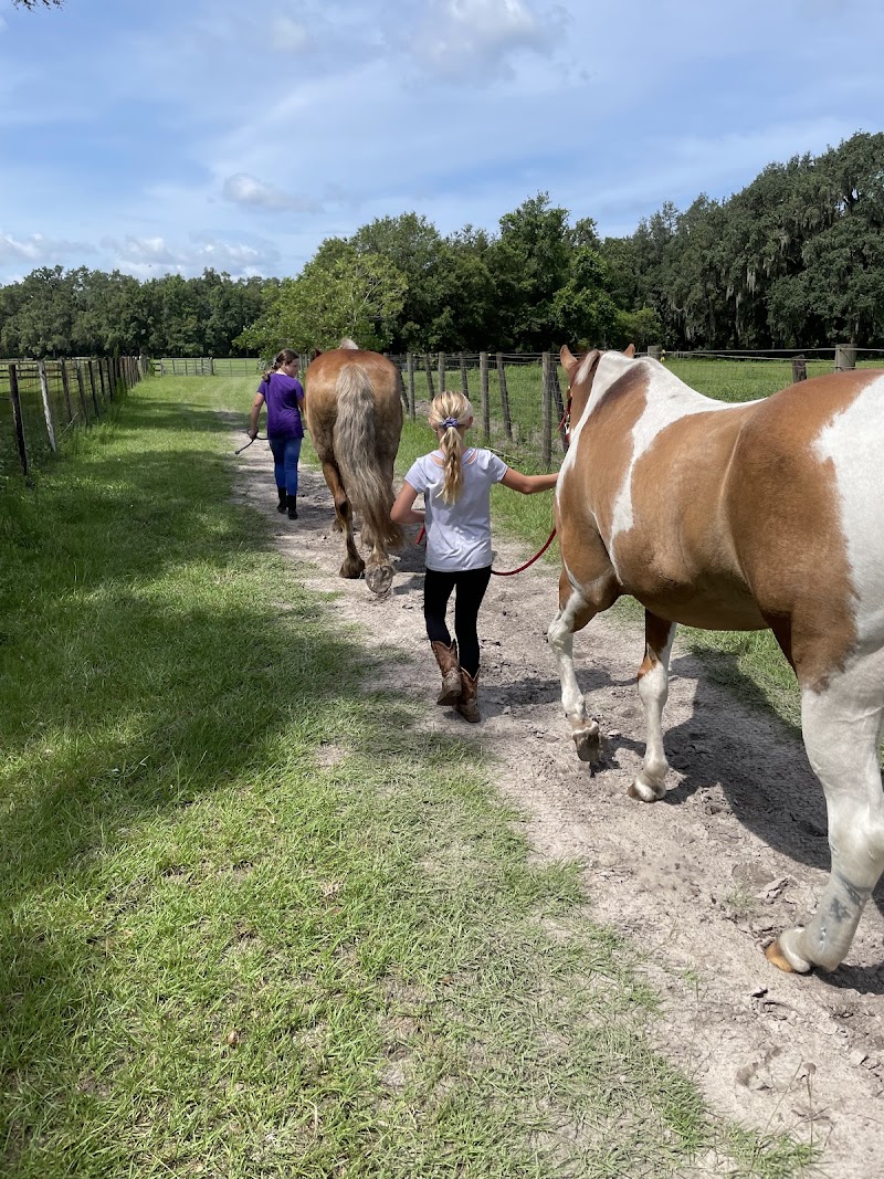 Black Grove Stables LLC photo 5