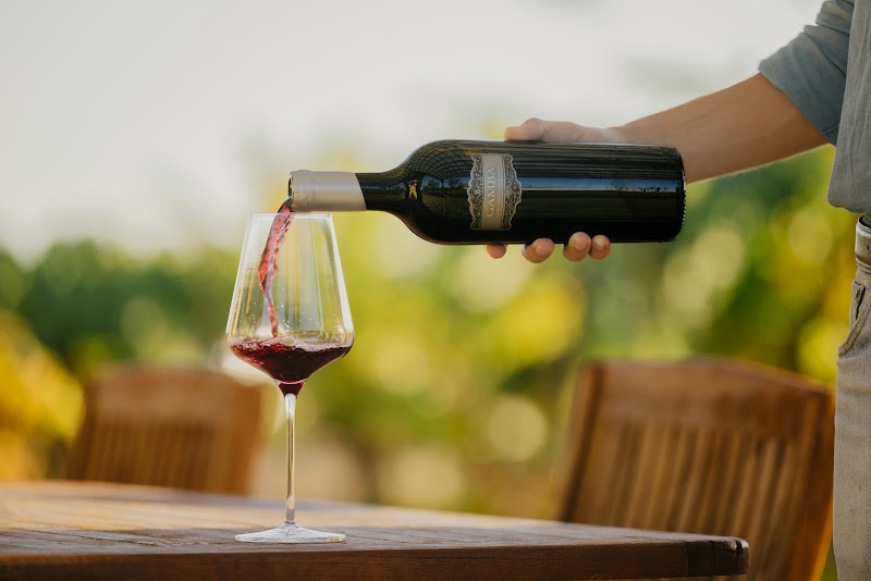 Gamba Vineyards & Winery photo 4