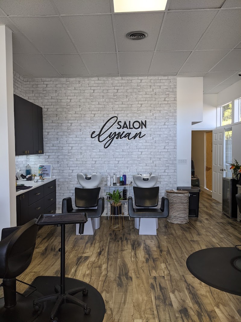 Elysian Salon photo 5