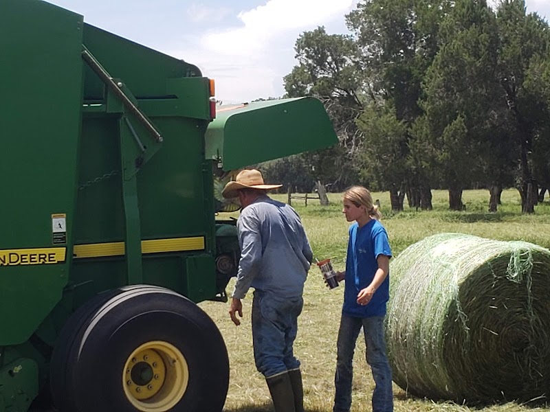 Barthle Brothers Ranch photo 3
