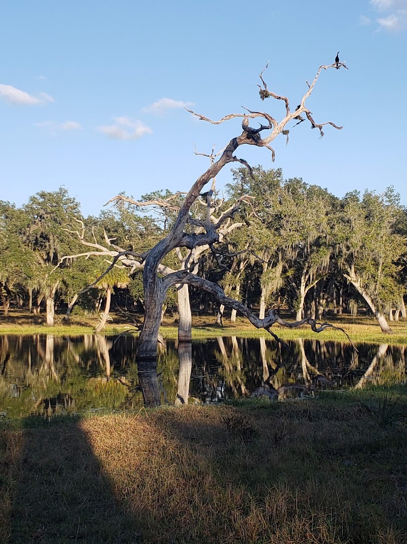 Barthle Brothers Ranch photo 5