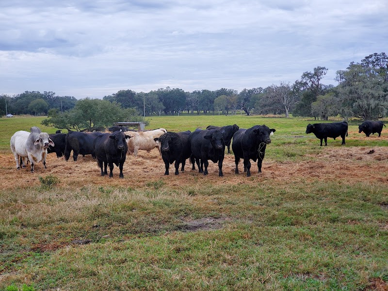 Photo of Barthle Brothers Ranch