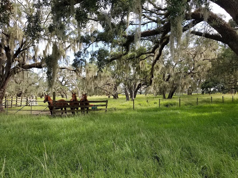 Barthle Brothers Ranch photo 2