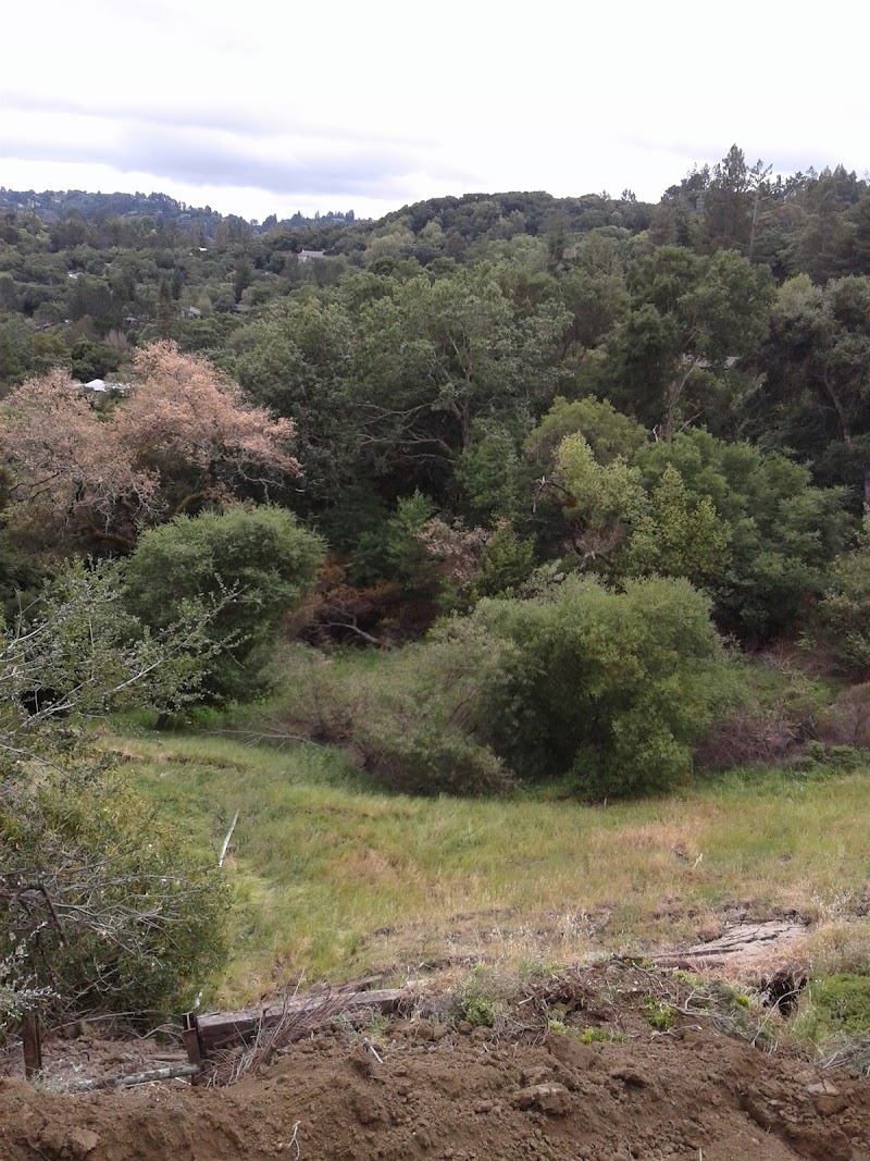 Lafayette-Orinda Presbyterian Church photo 5