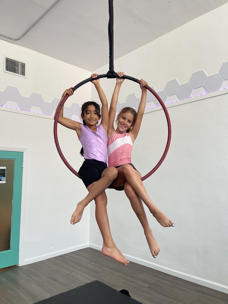 Beloved Aerial Arts photo 2